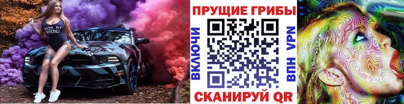 shop как зайти  Павловская  Галлюциногенные грибы Psilocybine cubensis 